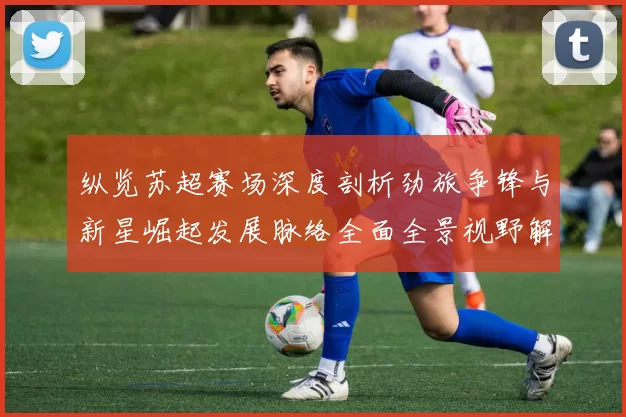 纵览苏超赛场深度剖析劲旅争锋与新星崛起发展脉络全面全景视野解