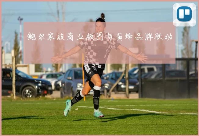 鲍尔家族商业版图与黄蜂品牌联动