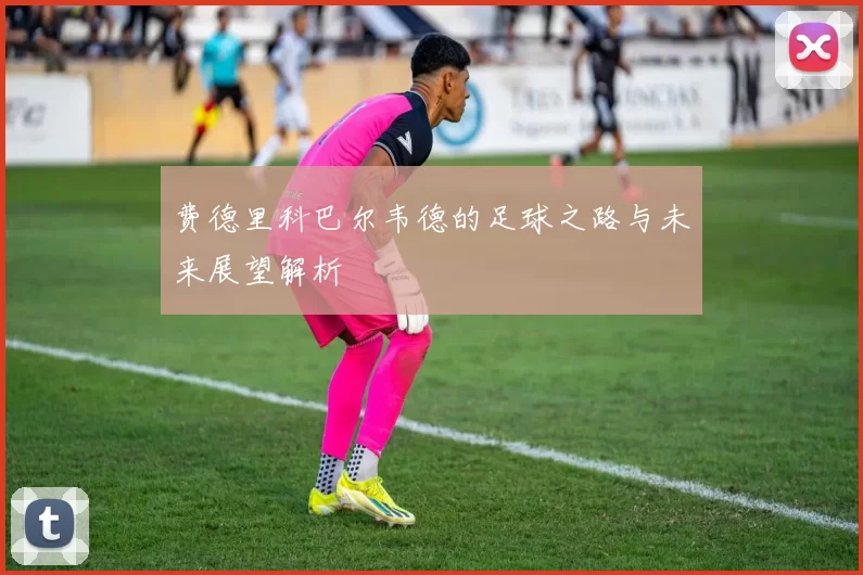 费德里科巴尔韦德的足球之路与未来展望解析
