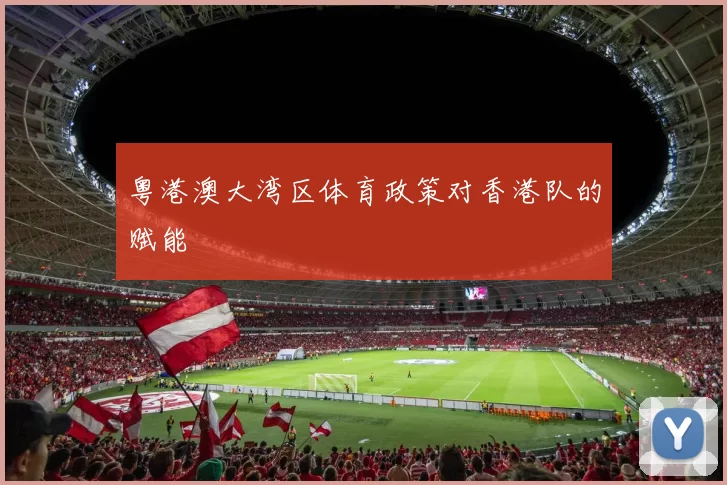 粤港澳大湾区体育政策对香港队的赋能