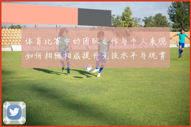 体育比赛中的团队合作与个人表现如何相辅相成提升竞技水平与观赏性