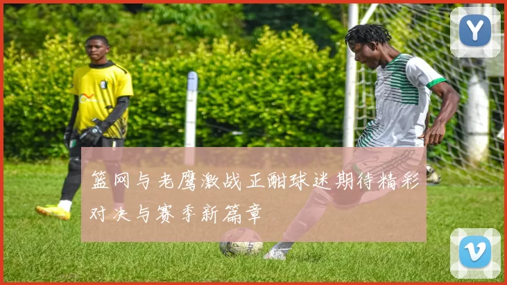 篮网与老鹰激战正酣球迷期待精彩对决与赛季新篇章