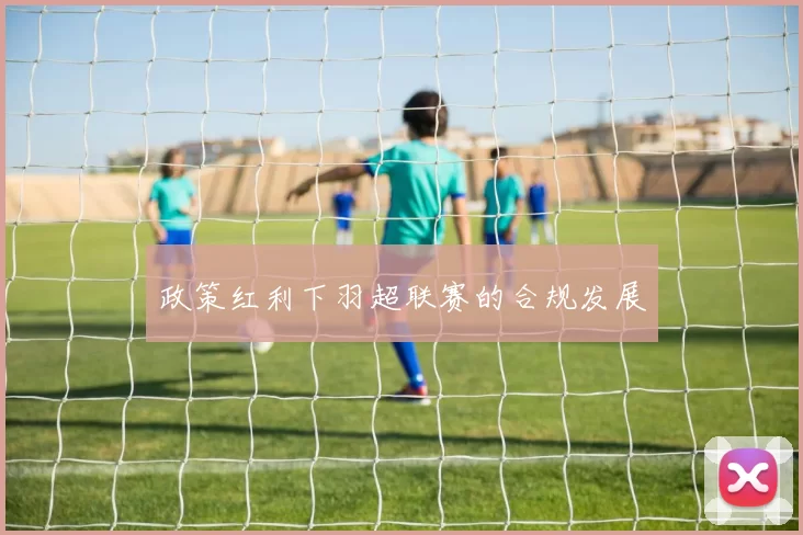 政策红利下羽超联赛的合规发展