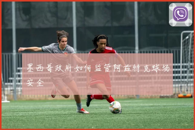 墨西哥政府如何监管阿兹特克球场安全