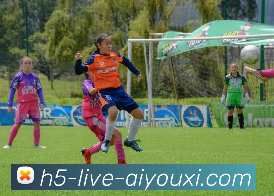 aiyouxi平台生态图